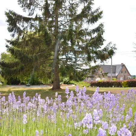 Villa Amougies Villa